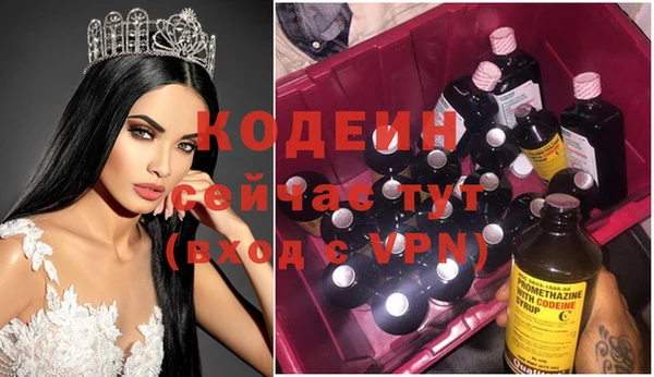 ПСИЛОЦИБИНОВЫЕ ГРИБЫ Ельня