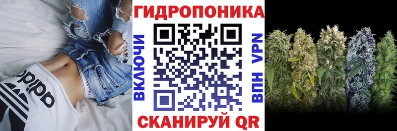 купить наркоту  hydra рабочий сайт  Бошки марихуана семена  Петропавловск-Камчатский 